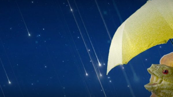 El rutero AstroMicro: Lluvia de Estelas