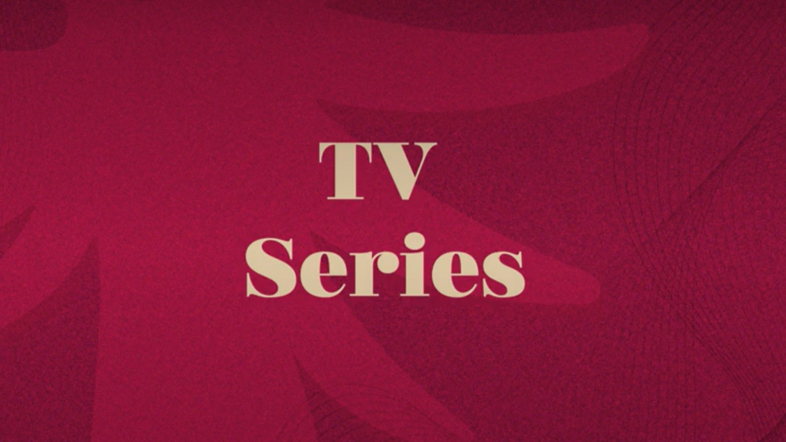Premios Caleuche: Conoce los nominados a Mejor Actor de Soporte en TV Series
