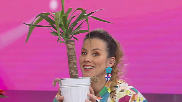 Los mejores consejos para cuidar tus plantas durante tus vacaciones
