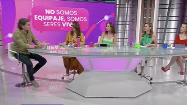 Los cuidados a las mascotas durante trayectos de viajes
