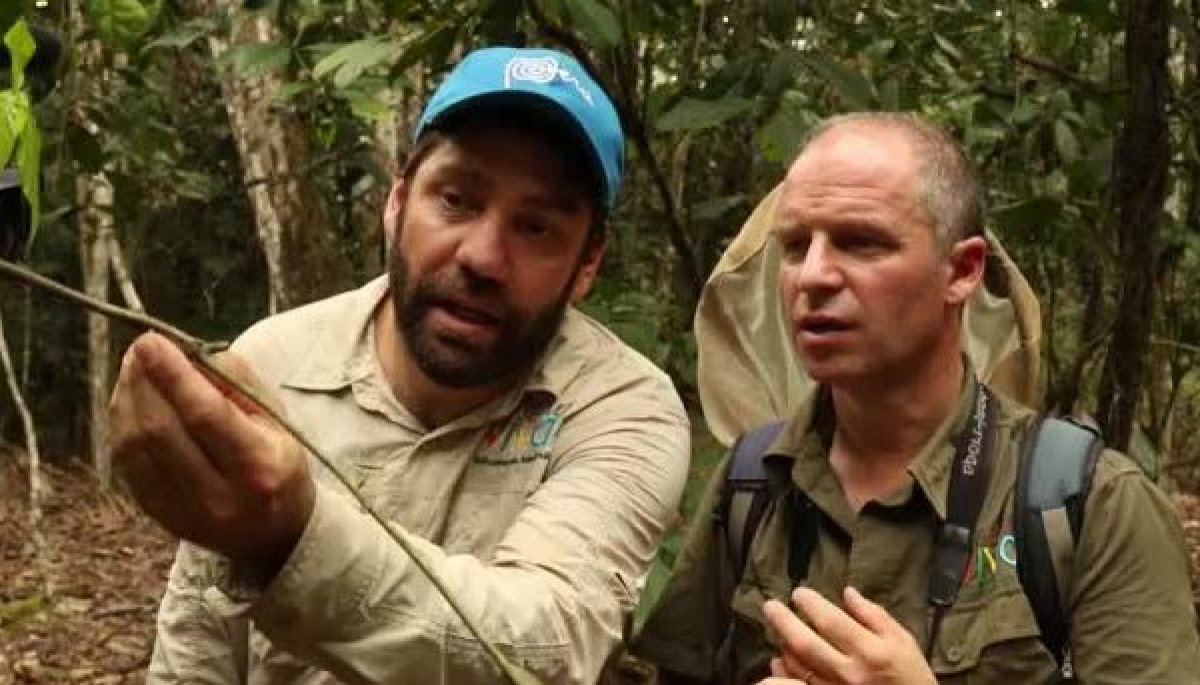 Selva Viva Capítulo 1: Descubriendo la selva del Perú | TVN