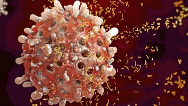 Avance científico revela cómo superar resistencia al tratamiento en un tipo de leucemia
