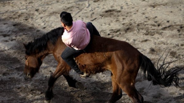 Yegua patea y mata a hombre durante 'carrera a la chilena' en Ñuble
