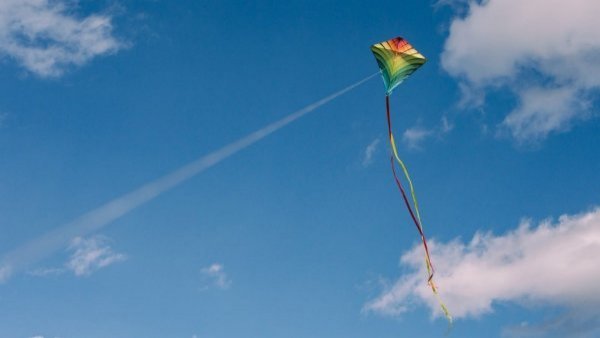 Por hilo curado: 6 personas mueren degolladas por concurso de volantines en la India
