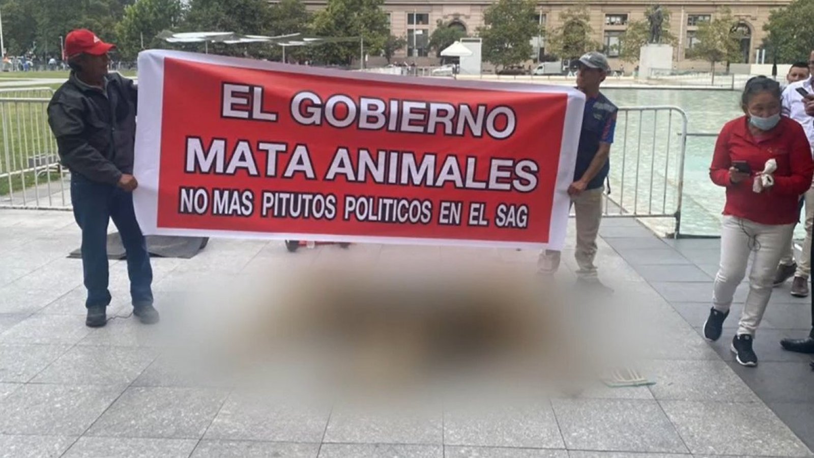 Dueño de zoológico protesta con un león muerto afuera de La Moneda
