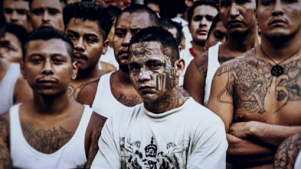 ¿Están o no las pandillas centroamericanas "Los Maras" en Chile?
