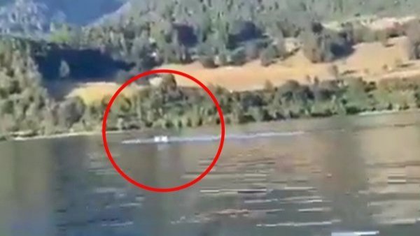 ¿Qué hay en Lago Ranco?: extraño registro generó teorías entre turistas de Valdivia
