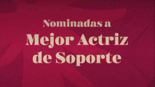 Premios Caleuche 2023: Estos son los nominados a Mejor Actriz de Soporte en Series
