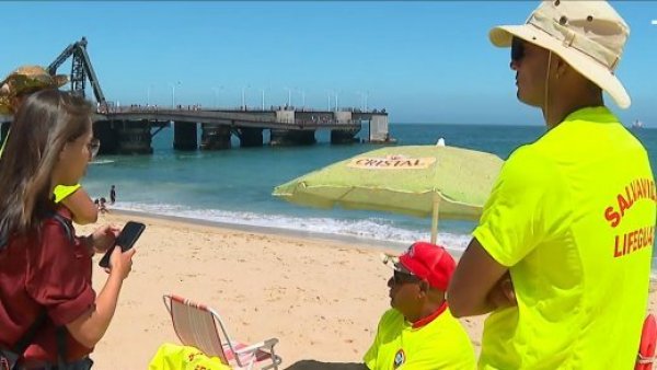 Insultos, agresiones y hasta guardadores de niños: Las denuncias de los salvavidas en una tensa temporada veraniega
