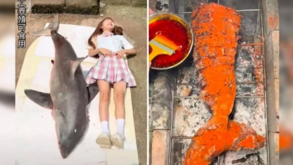 “Puede parecer cruel, pero...": bloguera china es multada tras cocinar y comer a especie marina protegida
