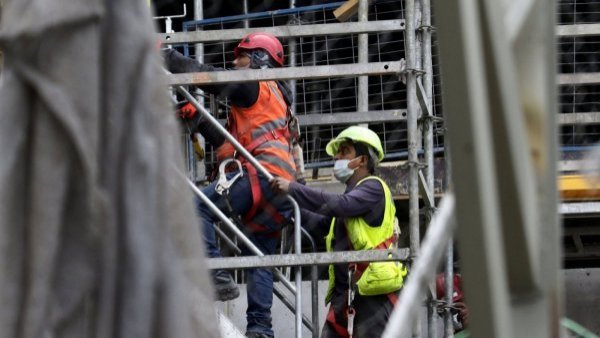 Buscan personas para ir a trabajar a Nueva Zelanda: revisa los requisitos y sueldos
