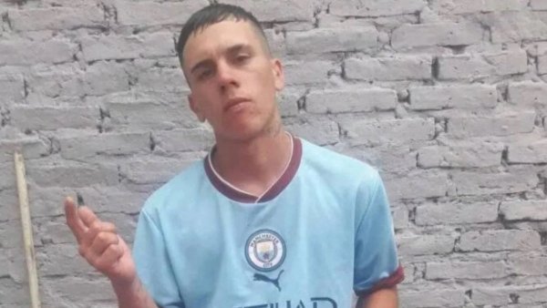 Murió electrocutado tras subir a un árbol para rescatar a un loro y cobrar la recompensa
