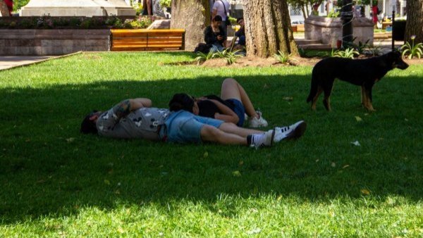 Alcalde de Chillán pidió a empresas suspender labores en horas de mayor calor
