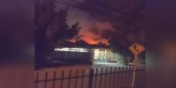 Más de 700 hectáreas: Nuevos incendios forestales en Chillán dejan cientos de damnificados
