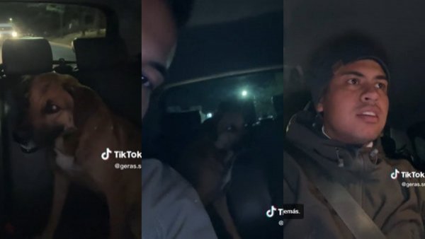"Que siga el mapa, dice": perro "pidió" un Uber y conductor lo dejó en su casa
