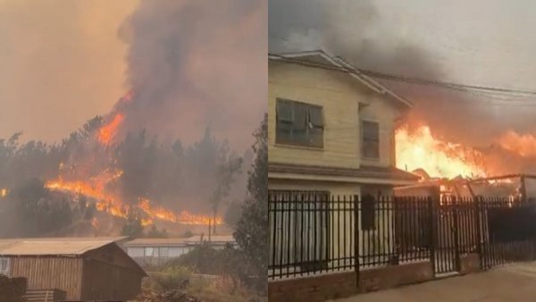 Senapred: región de Ñuble registra más de 3.300 hectáreas afectadas por incendios
