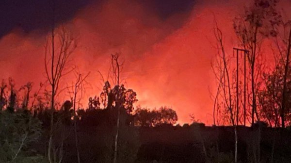 Declaran Alerta Roja para la comuna de Chillán Viejo por incendio forestal
