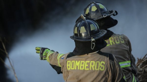 Incendios forestales: van más de 66 mil hectáreas quemadas esta temporada
