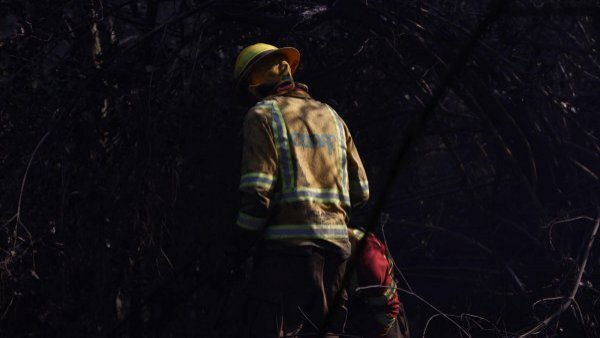 Gobierno declara Estado de Catástrofe en la región del Biobío ante incendios forestales
