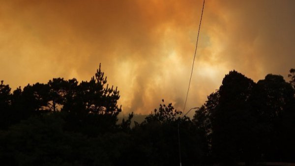 Incendios forestales: ¿cómo protegernos ante la presencia de humo?
