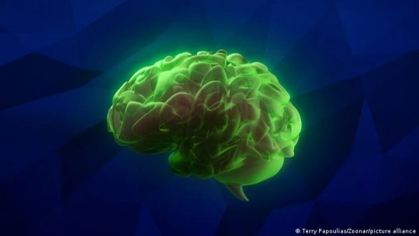 Científicos chinos informan de primer caso de Alzheimer en un joven de 19 años
