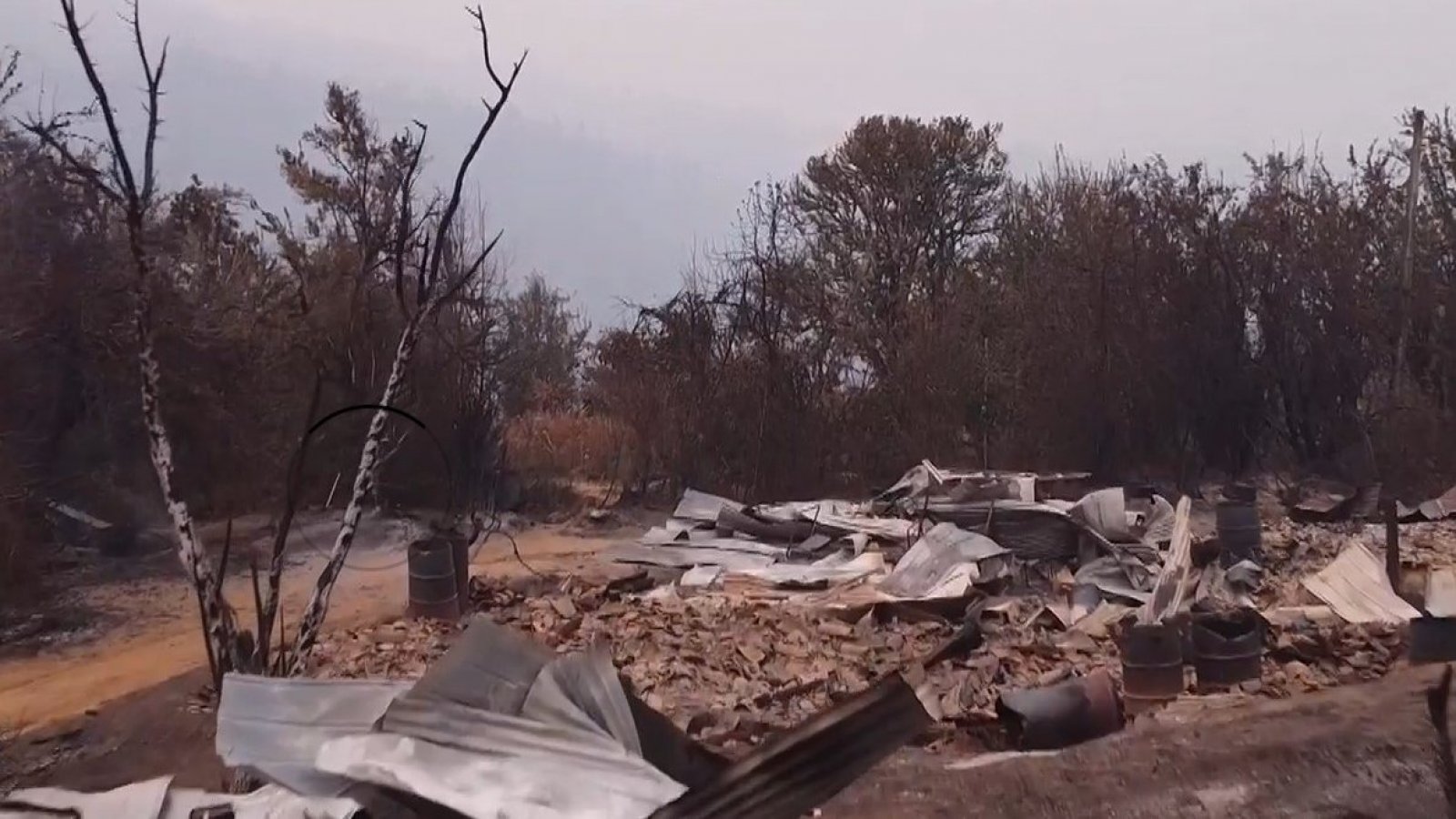 ¡Qué la ayuda no pare! Revisa cómo realizar tu aporte para los damnificados de los incendios
