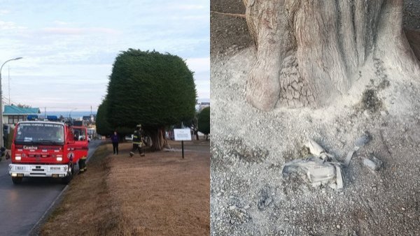 Vecinos apagan principio de incendio en árbol de campaña de Presidente Boric