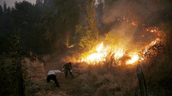 ¿Cómo y dónde denunciar a quienes provocan incendios forestales?
