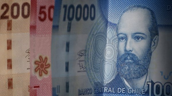 IPC de enero registra aumento mensual de 0,8% y alza de 12,3% a 12 meses