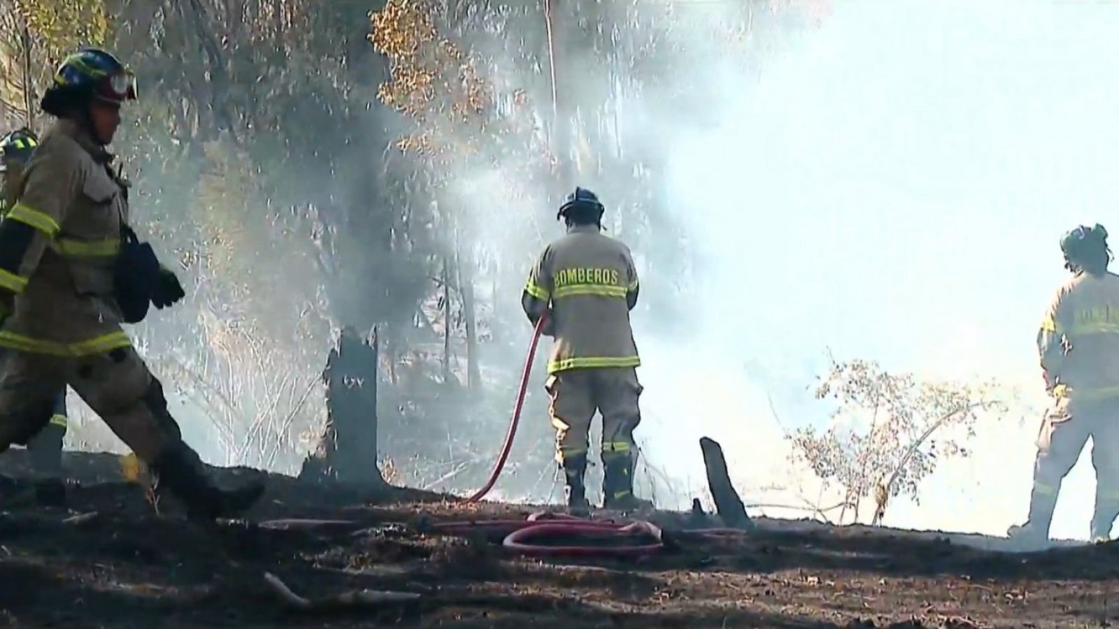 Maldad hasta en las tragedias: Denuncian el robo pertenencias a brigadistas
