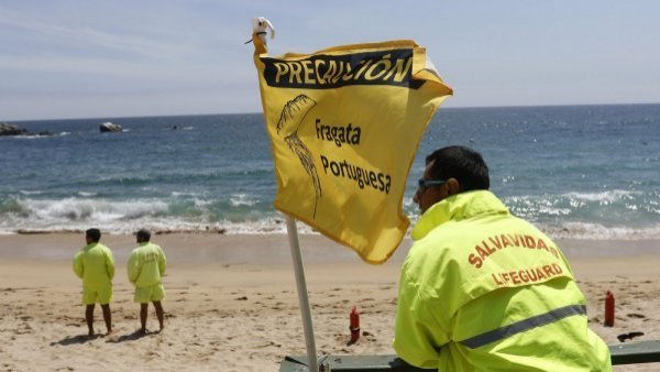 Fragata portuguesa: las playas con prohibición de baño
