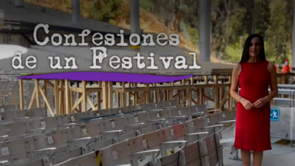 "Confesiones de un festival": el lado menos conocido de Viña
