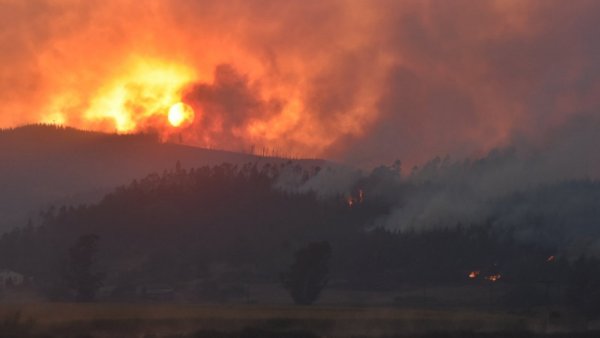 Fiscalía y Conaf tras incendios: "La industria forestal es víctima en la situación actual"

