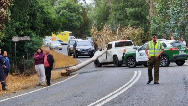 Exdirector de Conaf Araucanía falleció tras caída de árbol sobre su vehículo
