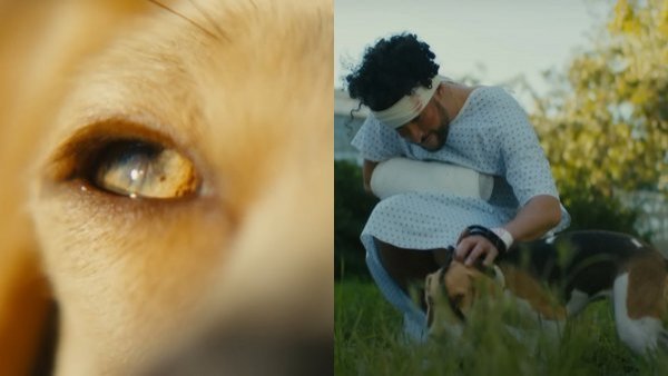 Bad Bunny lanza videoclip de "Ojitos lindos" en honor a su perrita
