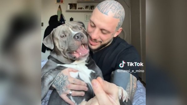 Furor en TikTok: la tierna reacción del perrito "sin nariz"

