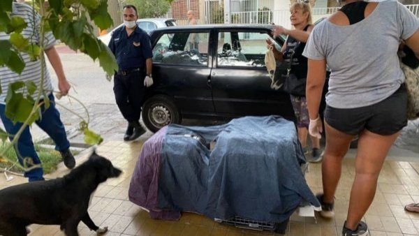Los guardaba en refrigerador: mujer mataba perros y gatos para "absorber sus energías"
