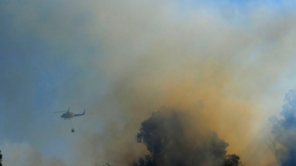 Balance actualizado de incendios forestales en Biobío. 16 en combate
