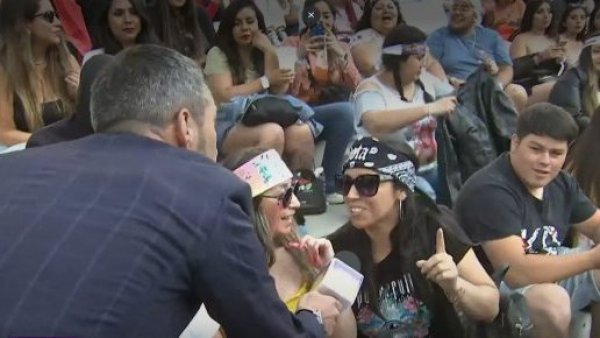 Los fans de Karol G ya están dándolo todo en la galería de la Quinta Vergara