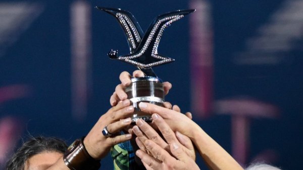 ¿Qué artistas se han llevado la "gaviota de platino"?
