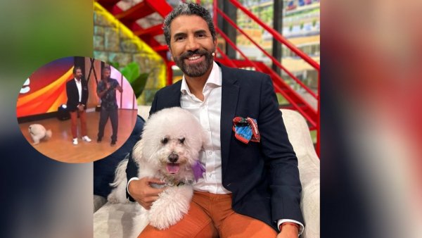 Gracioso momento que vivió periodista tras interrupción de perrita
