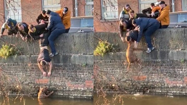 "No podía dejarlo solo": jóvenes hacen ingenioso rescate de perrito que cayó a un canal
