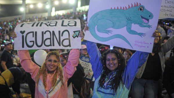 ¿Por qué los fanáticos llevan imágenes de iguanas al show de Camilo en Viña 2023?
