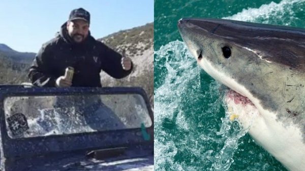 Desapareció en una playa y su cuerpo fue encontrado dentro de un tiburón en Argentina
