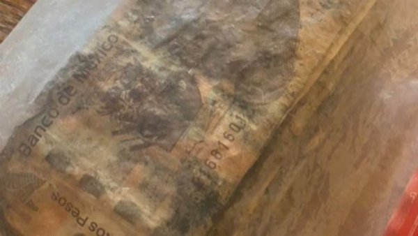 "Lo hice para que nadie lo mirara": joven pierde todos sus ahorros tras enterrarlos por dos meses
