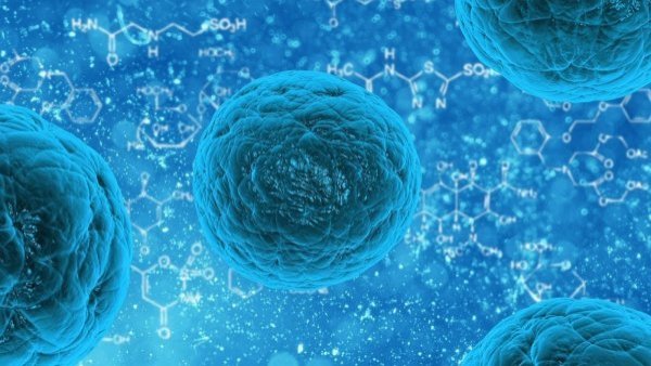 Científicos reviven virus congelado por 48.500 años en el Ártico
