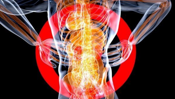 ¿Cómo cuidar los riñones y prevenir una enfermedad renal?

