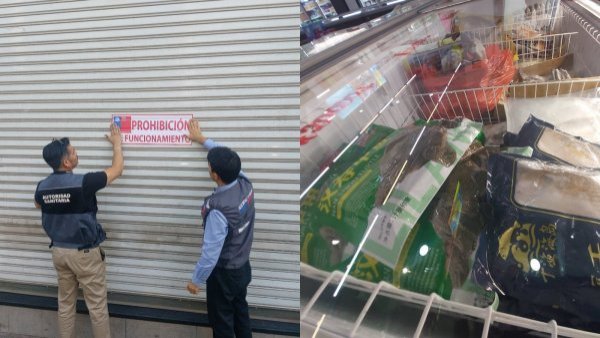 Vendía carne de pato, tortuga y otros animales: Seremi de Salud prohíbe funcionamiento de supermercado en barrio Meiggs
