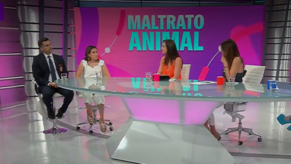 Ley de Tenencia Responsable ¿Qué sanciones tiene el maltrato animal?
