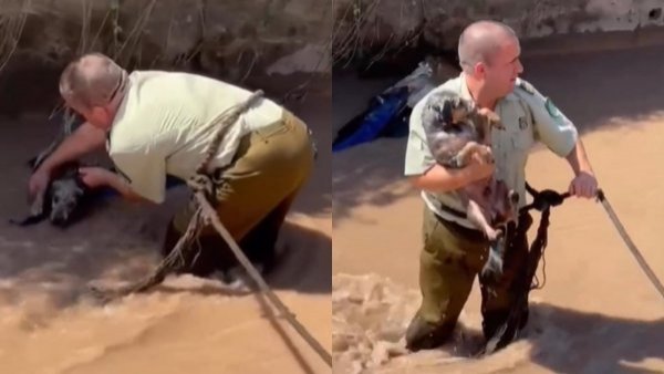VIDEO: carabinero rescata a perrito que era arrastrado por el Canal San Carlos
